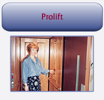Prolift Platform Lift
