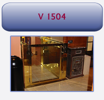 V 1504 Platform Lift